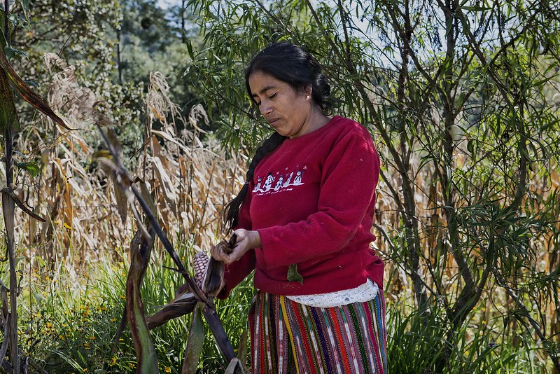 Proyecto de la Cooperación Española en Guatemala. Foto: © Miguel Lizana / AECID