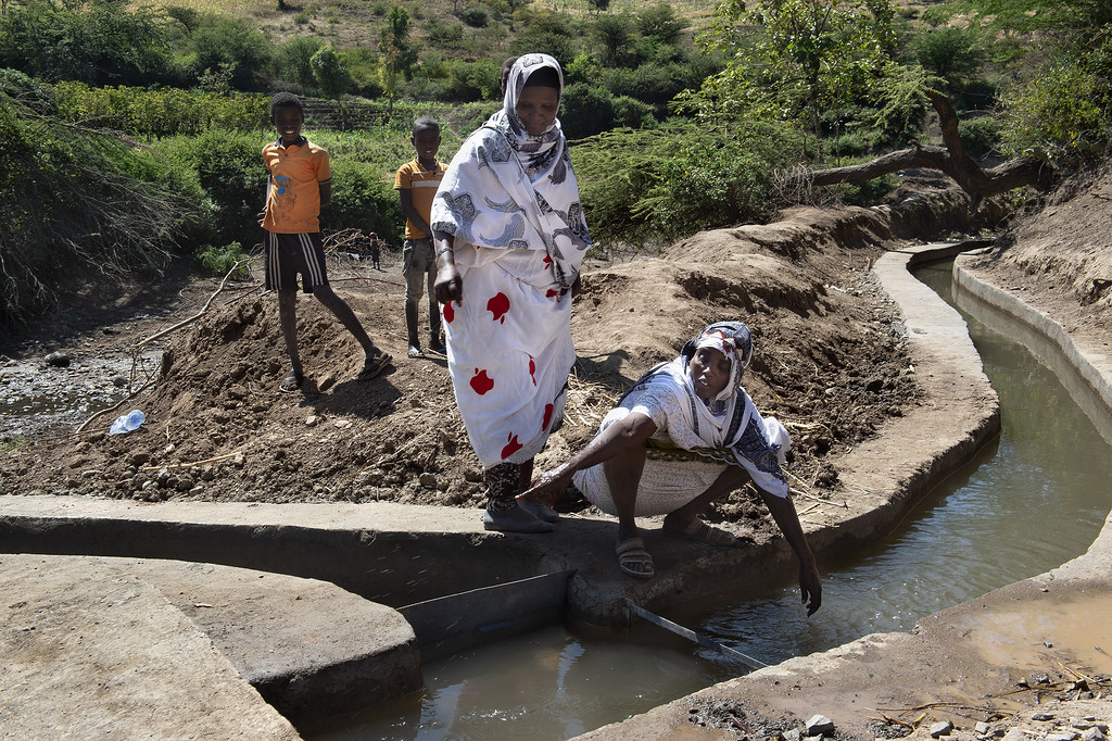 Foto: © Miguel Lizana / AECID