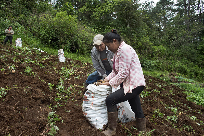 Proyecto “Luma Cuma Guaminá-Empoderando a las mujeres indígenas Lencas y Campesinas” ...