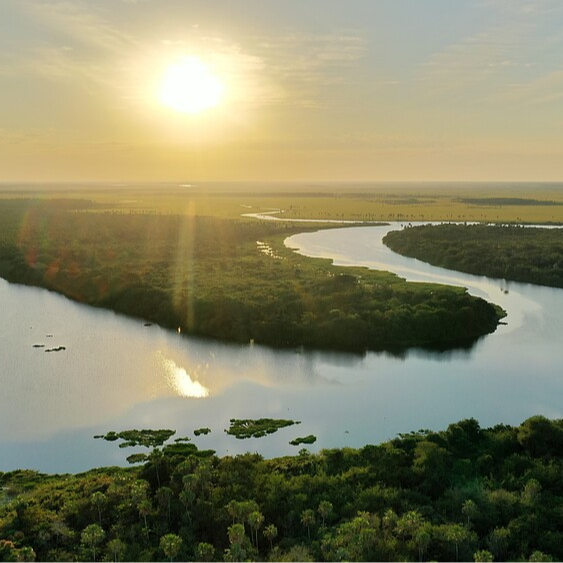 Cartografías Líquidas abre convocatoria para residencias de investigación artística de los humedales de Paraguay