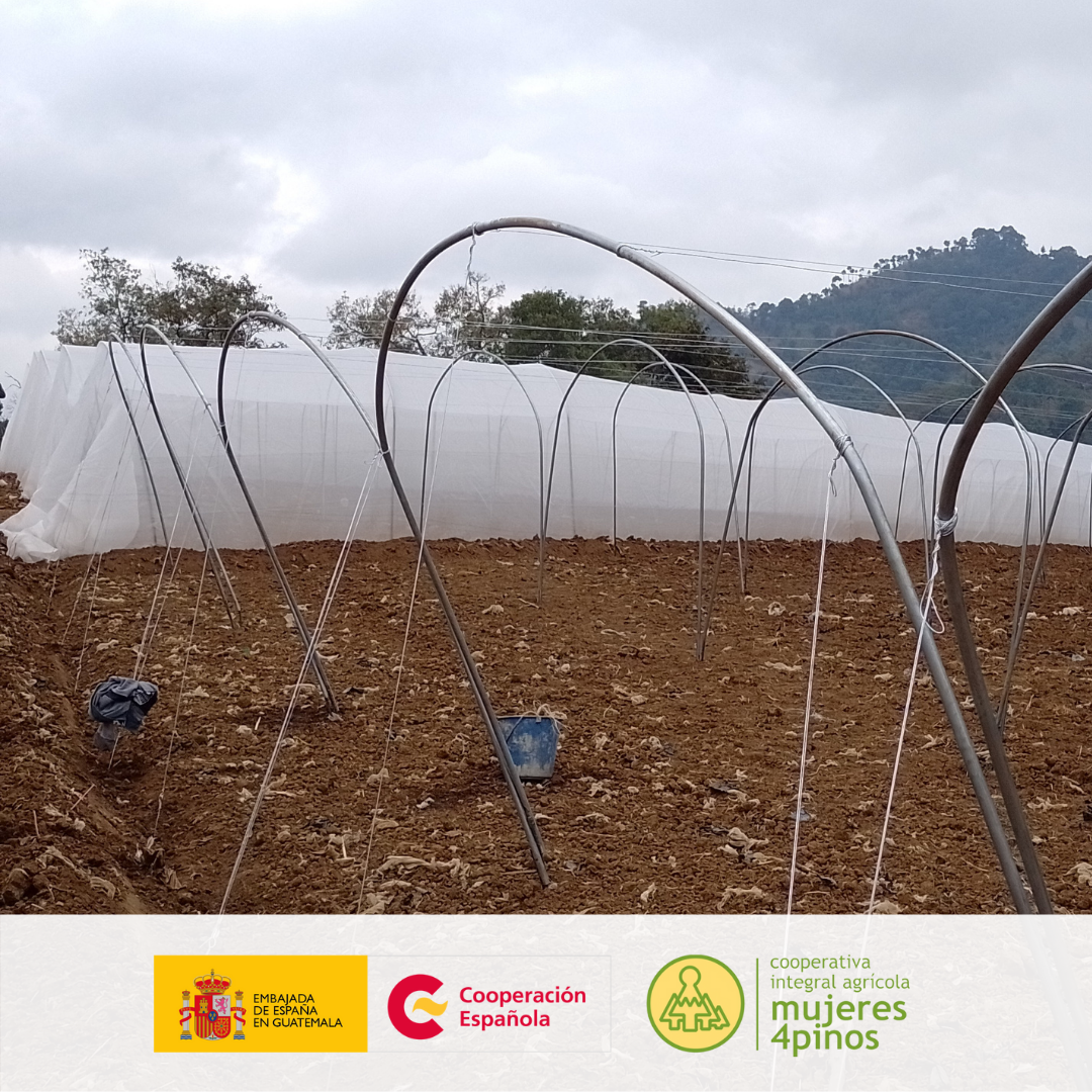 Con apoyo de la Aecid, cooperativa de mujeres inicia instalación de equipamiento para mejorar la ...