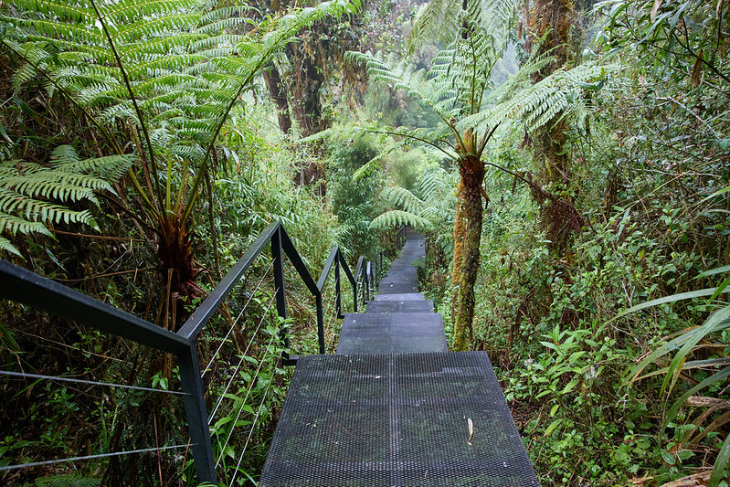 Foto: © Pepe Méndez