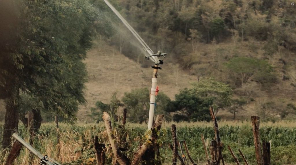 Agua proveniente de un manantial .