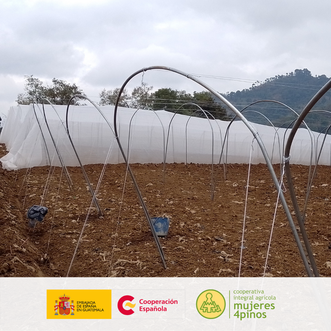 Con apoyo de la Aecid, cooperativa de mujeres inicia instalación de equipamiento para mejorar la producción de alimentos y combatir la desnutrición