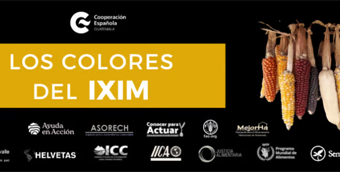 Los Colores del IXIM – Reflexiones y diálogo de saberes sobre maíz, cosmovisión y derecho a la alimentación en Guatemala