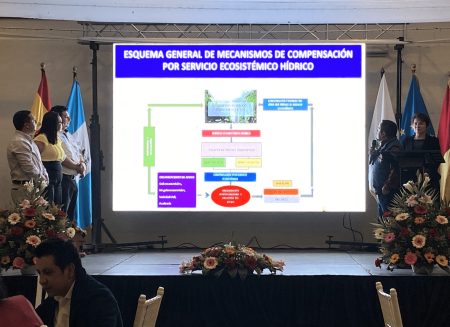 Presentación de resultados por técnicos y técnicas del Proyecto AUVM